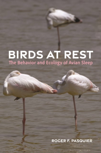 Birds at Rest - The Behavior and Ecology of Avian Sleep