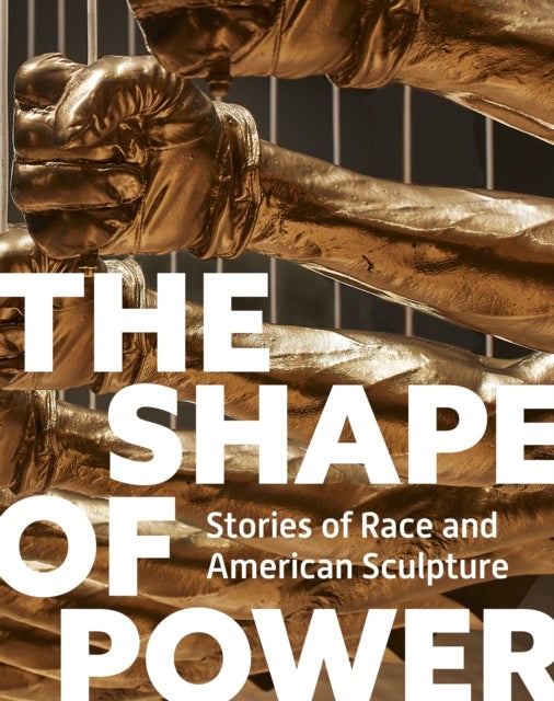 The Shape of Power - Stories of Race and American Sculpture