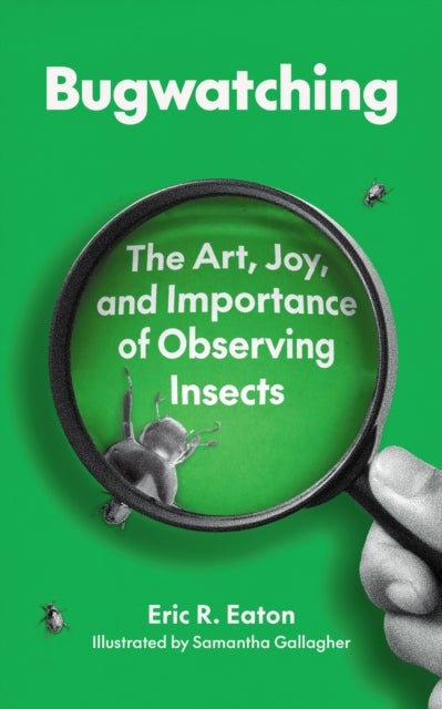 Bugwatching - The Art, Joy, and Importance of Observing Insects