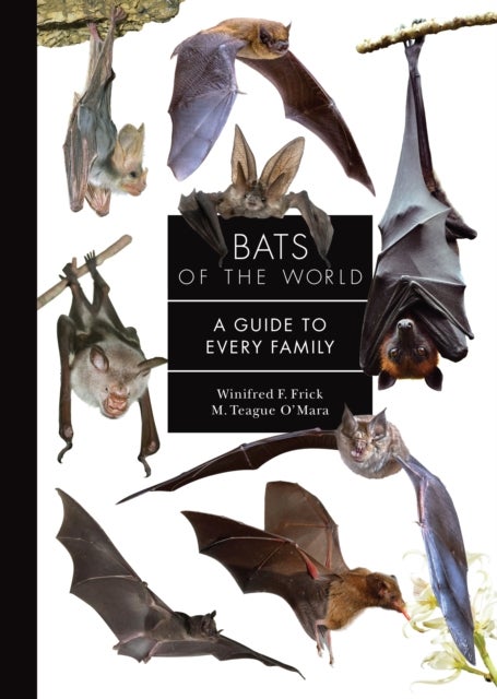 Bats of the World - A Guide to Every Family