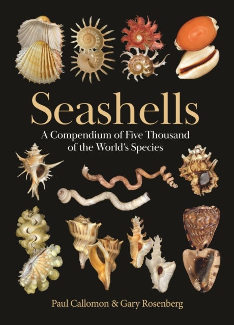 Seashells - A Compendium of Five Thousand of the World's Species