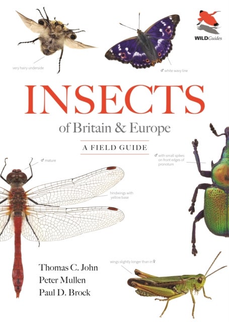 Insects of Britain and Europe - A Field Guide