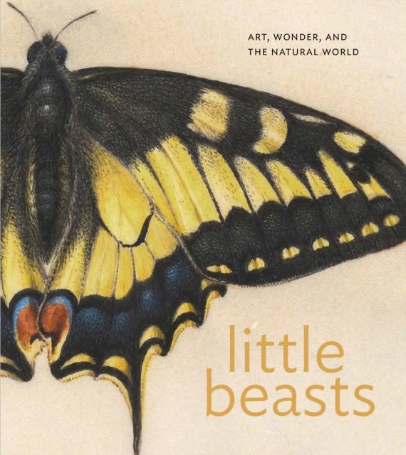 Little Beasts - Art, Wonder, and the Natural World