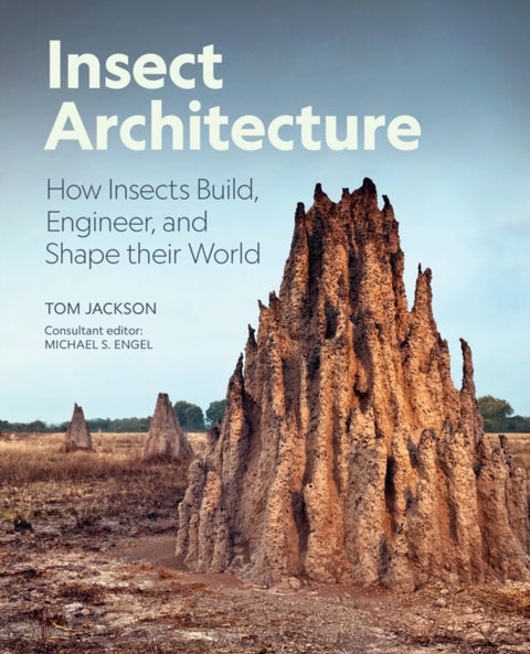 Insect Architecture - How Insects Build, Engineer, and Shape Their World