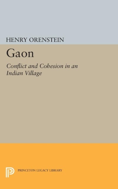 Gaon - Conflict and Cohesion in an Indian Village