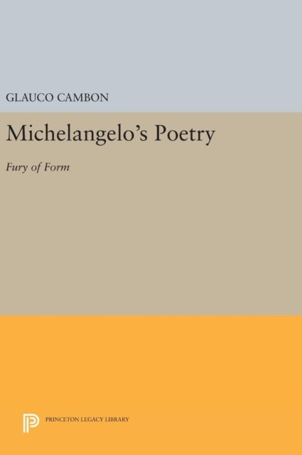 Michelangelo's Poetry - Fury of Form