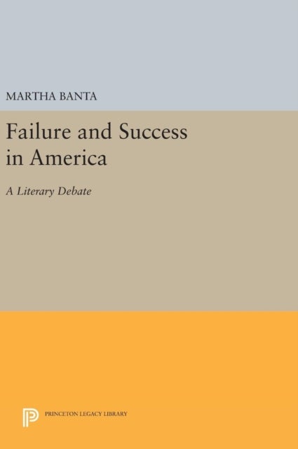 Failure and Success in America - A Literary Debate