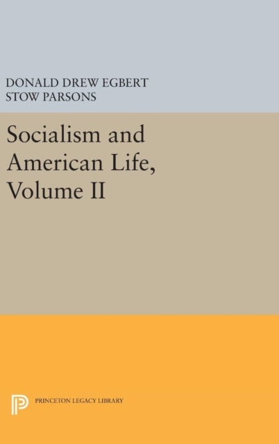 Socialism and American Life, Volume II