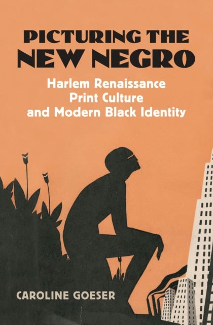 Picturing the New Negro - Harlem Renaissance Print Culture and Modern Black Identity