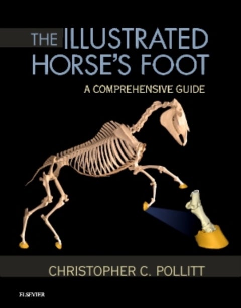 The Illustrated Horse's Foot - A comprehensive guide