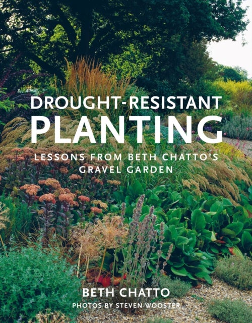 Drought-Resistant Planting - Lessons from Beth Chatto's Gravel Garden