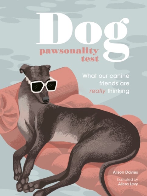Dog Pawsonality Test - What our canine friends are really thinking