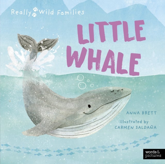 Little Whale - A Day in the Life of a Whale Calf
