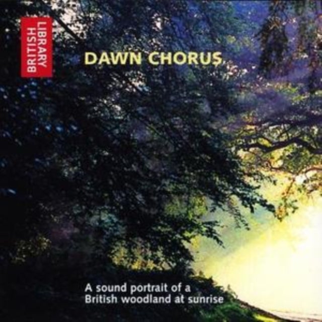 Dawn Chorus - A Sound Portrait of a British Woodland at Sunrise