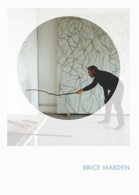 Brice Marden - Phaidon Focus