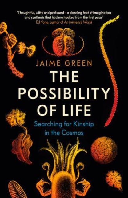 The Possibility of Life - Searching for Kinship in the Cosmos