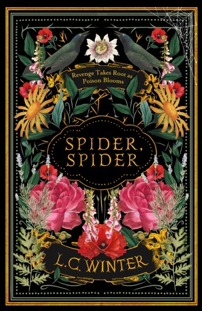 Spider, Spider - 'Black as night and as cleverly woven as a spider's web' Anna Mazzola