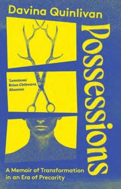 Possessions - A Memoir of Transformation in an Era of Precarity