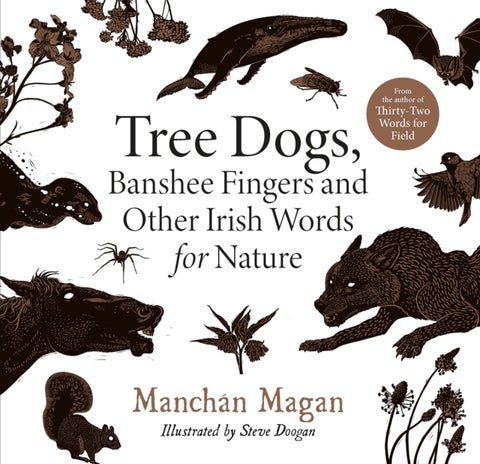 Tree Dogs, Banshee Fingers and Other Irish Words for Nature