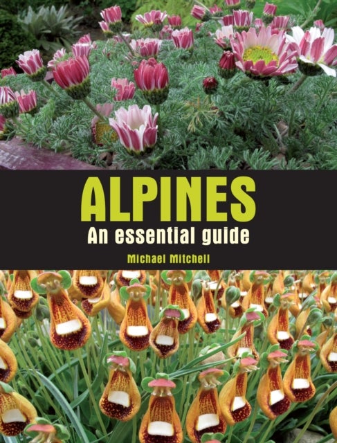 Alpines - An essential guide