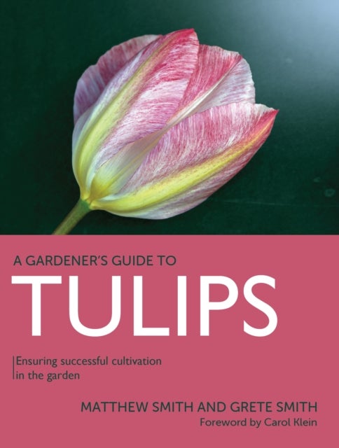 Tulips - Ensuring Successful Cultivation in the Garden