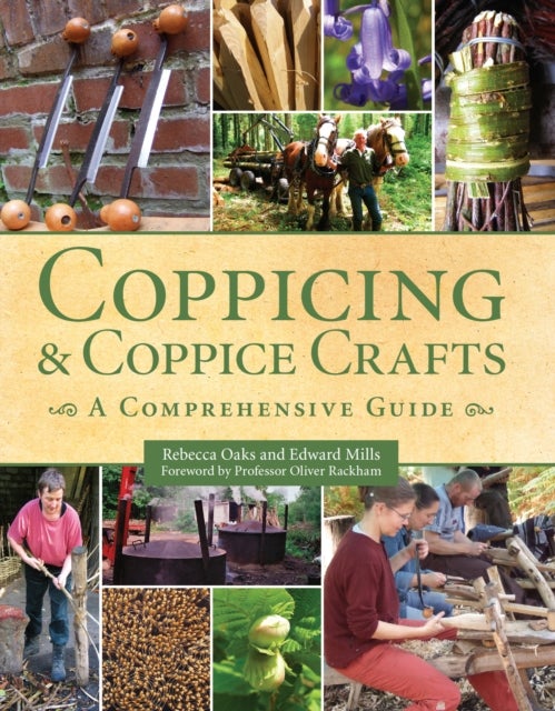 Coppicing and Coppice Crafts - A Comprehensive Guide