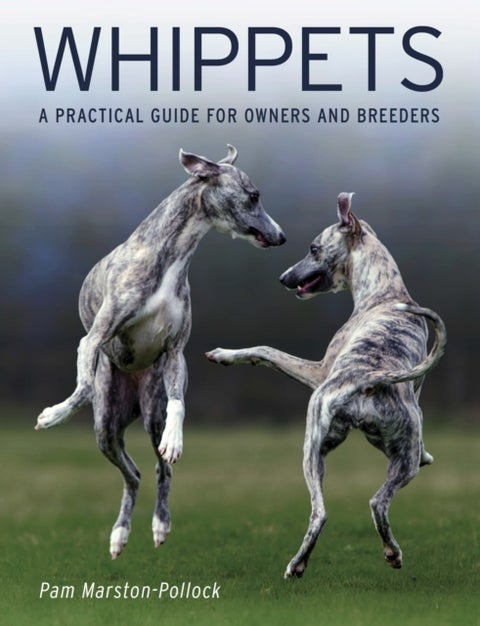Whippets - A Practical Guide for Owners and Breeders