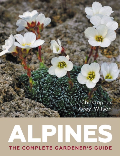 Alpines - The Complete Gardener’s Guide