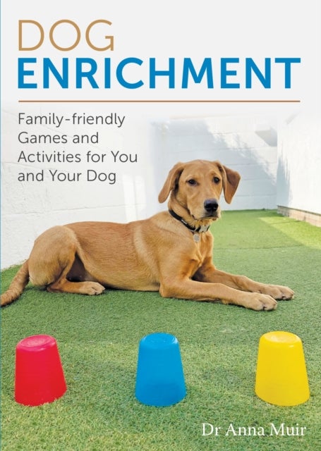 Dog Enrichment - Family-friendly Games and Activities for You and Your Dog