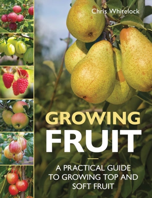 Growing Fruit - A Practical Guide to Growing Top and Soft Fruit