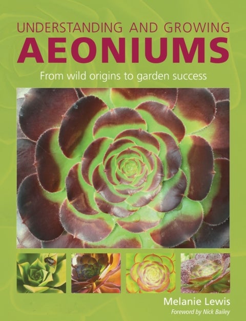 Understanding and Growing Aeoniums - From wild origins to garden success