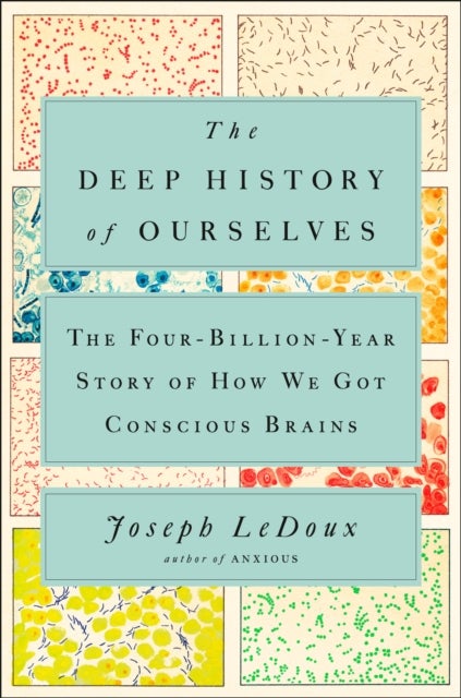 The Deep History of Ourselves - The Four-Billion-Year Story of How We Got Conscious Brains