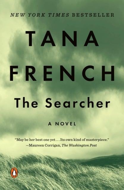 Searcher - A Novel