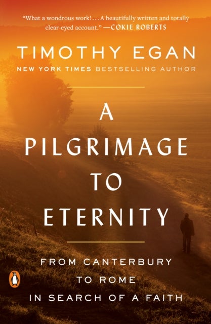 A Pilgrimage to Eternity - From Canterbury to Rome in Search of a Faith