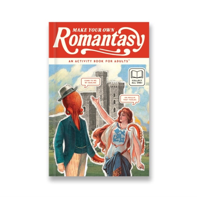 Choose Your Own Romantasy Book