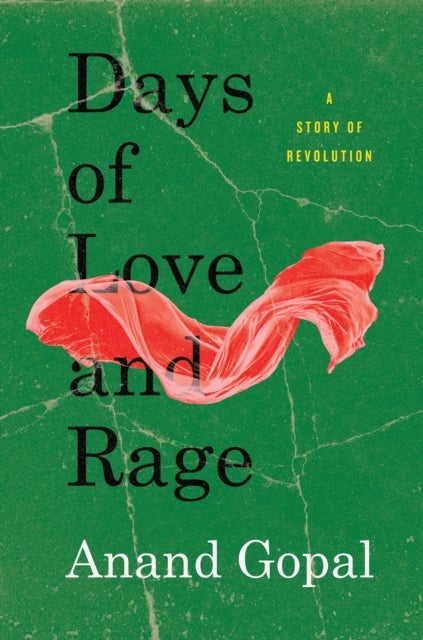 Days of Love and Rage - A Story of Revolution