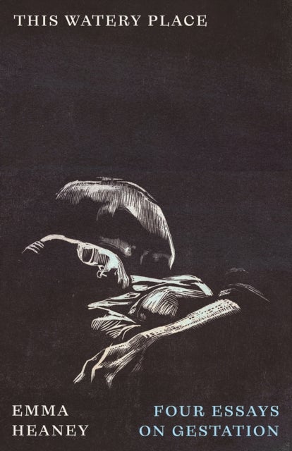 This Watery Place - Four Essays on Gestation