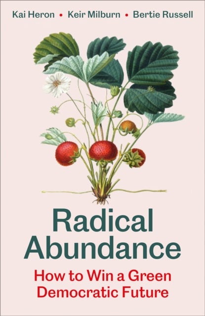 Radical Abundance - How to Win a Green Democratic Future