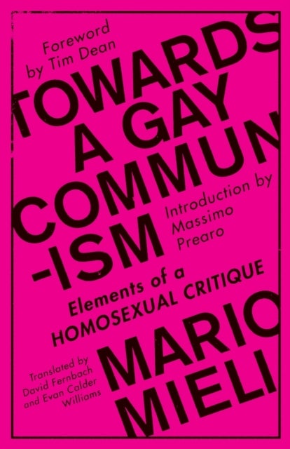 Towards a Gay Communism - Elements of a Homosexual Critique
