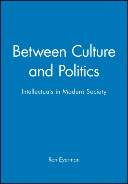 Between Culture and Politics - Intellectuals in Modern Society
