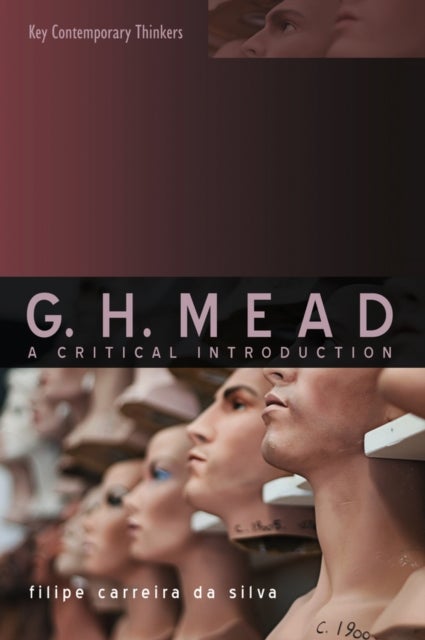 G.H. Mead - A Critical Introduction