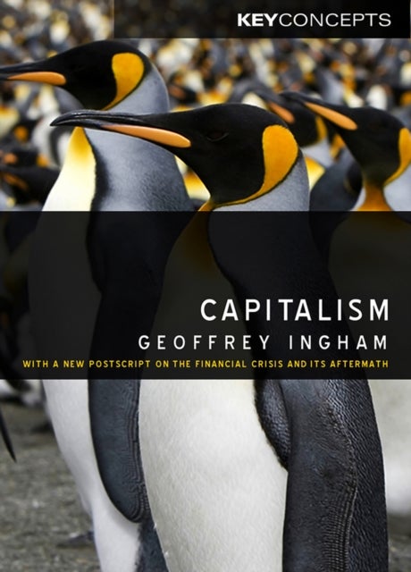 Capitalism - With a New Postscript on the Financial Crisis and Its Aftermath