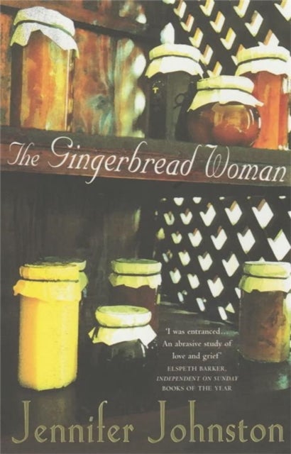 The Gingerbread Woman - An exquisite novel of loneliness, friendship and hope