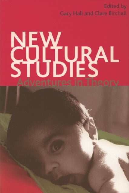 New Cultural Studies - Adventures in Theory