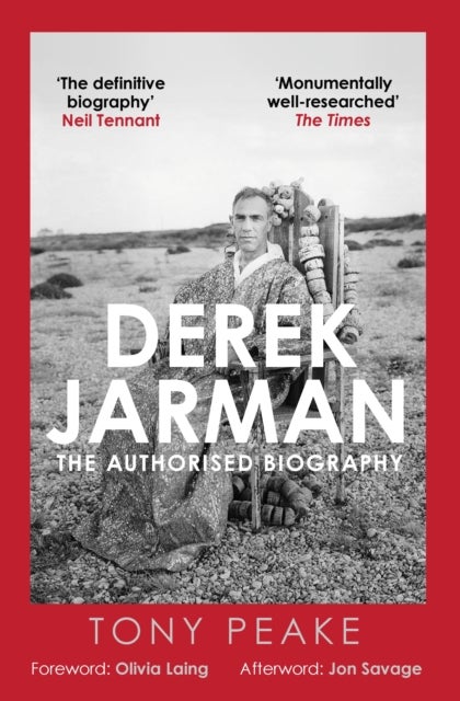 Derek Jarman: The Authorised Biography