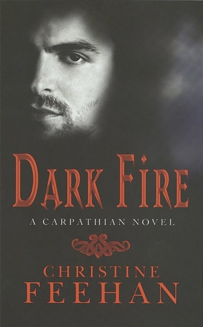 Dark Fire - Number 6 in series
