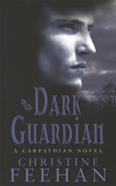 Dark Guardian - Number 9 in series