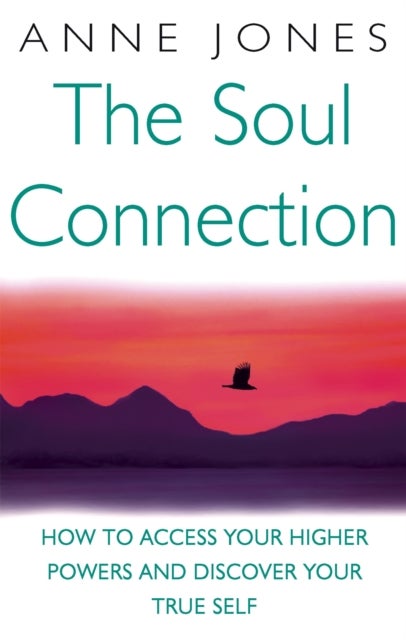 The Soul Connection - How to access your higher powers and discover your true self