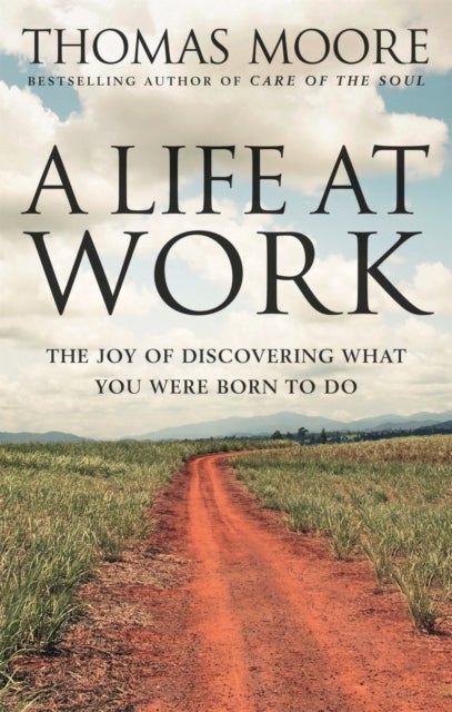 A Life At Work - The joy of discovering what you were born to do