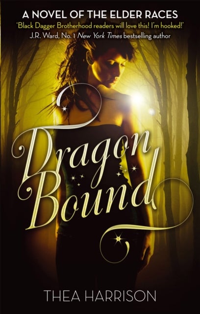 Dragon Bound - Number 1 in series